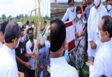 नुकसान भरपाईचा निर्णय घाईने घेतला जाणार नाही: उद्धव ठाकरे
