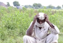 कविता : निसर्गाचा प्रकोप, शेतकर्यांचा आक्रोश