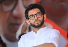 …या शहरांचा आणि गावांचा जागतिक पर्यावरण दिनी होणार सन्मान, आदित्य ठाकरे यांची घोषणा