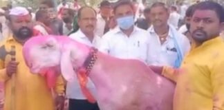 चक्क दीड कोटींचा ‘मोदी बकरा’ आटपाडीच्या बाजारात विक्रीसाठी