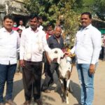 चोरी गेलेला ‘१६ लाखांचा’ बकरा अखेर सापडला…