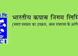 ‘सीसीआय’ : भारतीय कपास निगममध्ये विविध ९५ पदांसाठी भरती, अधिक माहितीसाठी वाचा…