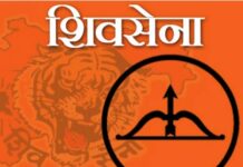 तुमच्या जुन्या वेळकाढू पद्धतीने विकास शक्य नाही:’या’ शिवसेना नेत्याचा भाजपला टोला