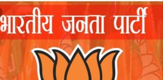 मराठा समाजातील 739 तरुणांवर शासन अन्याय करतय, त्यांना न्याय द्या : भाजपच्या ‘या’ नेत्याची कळकळीची विनंती