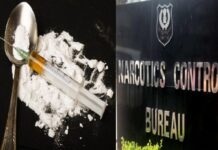 राष्ट्रवादीवर पुन्हा संकट, नवाब मलिक यांच्या जावयाला NCB चे समन्स