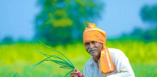 शेतकर्यांसाठी आनंदाची बातमी, मिळणार तीन लाखापर्यंतचे बिनव्याजी कर्ज