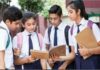 दहावी बारावी परिक्षेसंदर्भात मोठा निर्णय !