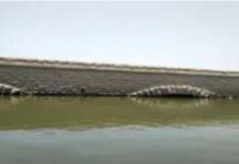 उजनी परिसरात कृषी पर्यटनाच्या अनेक संधी