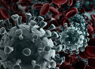 जिल्हाधिकारी, एसपी, यांनी केली अचानक कोविड सेंटरची पाहणी…