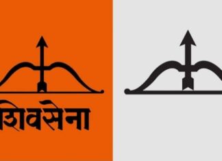 तीन अपत्यांमुळे नाकारले शिवसेनेच्या नगरसेविकेचे पद